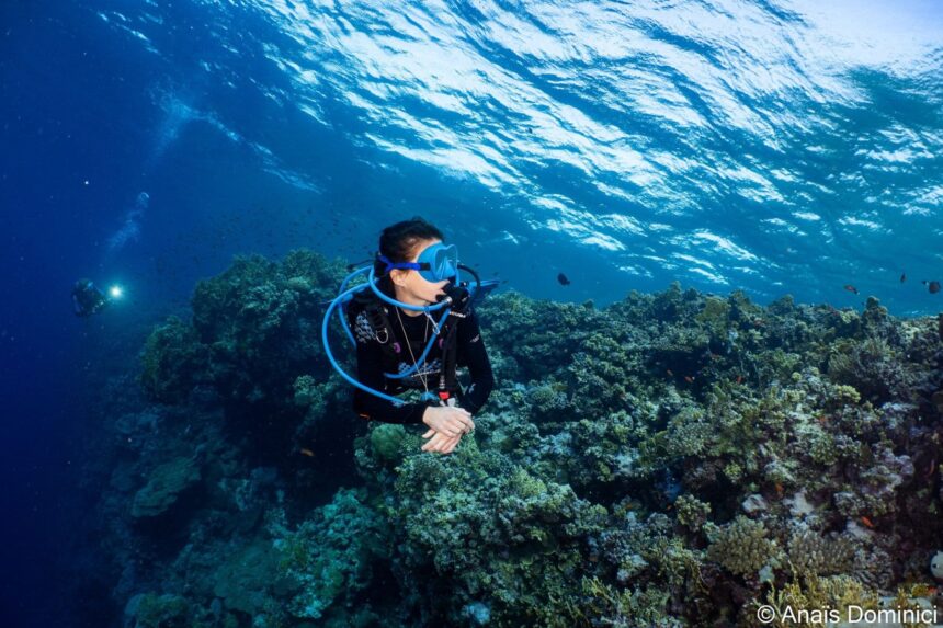 Diver hovering over a coral reef while exploring dive sites from the Titan liveaboard