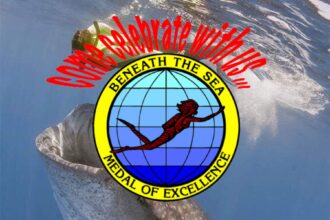 Beneath the Sea Medal of Excellence logo over an underwater photo of a tarpon