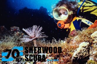 Diver examining a feather duster worm on the reef, with the Sherwood Scuba 70th anniversary logo overlaid