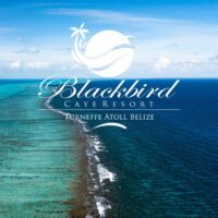 Aerial view of Turneffe Atoll's reef edge in Belize with the Blackbird Caye Resort logo overlaid