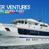 The Tiburon Explorer liveaboard dive yacht anchored under a clear blue sky