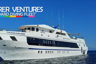 The Tiburon Explorer liveaboard dive yacht anchored under a clear blue sky