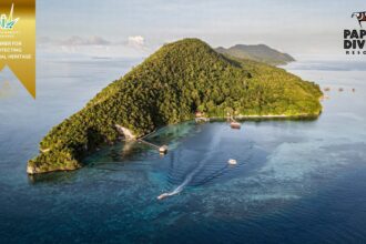 Aerial view of a jungle covered point in Raja Ampat with Papua Diving Resorts' sustainability award badge overlaid