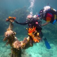 Two scuba divers examining a coral encrusted memorial statue underwater for Diveheart's documentary