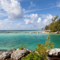 Turquoise shallows and a rocky, tree lined shoreline along the coast of Grand Bahama