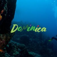 Diver swimming past a coral reef and barrel sponge in the blue waters off Dominica