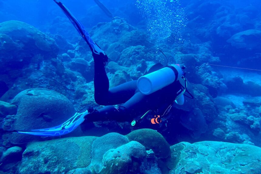 The Aqualung Phazer fins in action