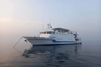 Palau Sport liveaboard yacht anchored in calm hazy water