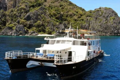 Navis 1 liveaboard catamaran anchored near limestone cliffs in the Philippines