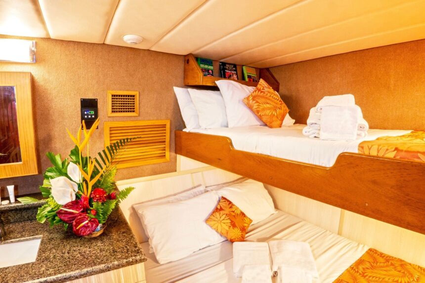 bunk cabin aboard Atlantis Adventurer with a tropical flower arrangement