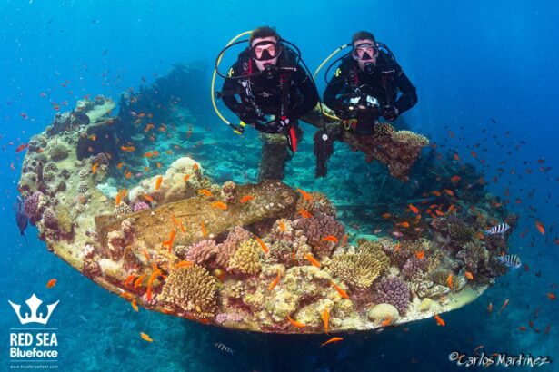 Two divers hover over a coral encrusted wreck section in the Red Sea
