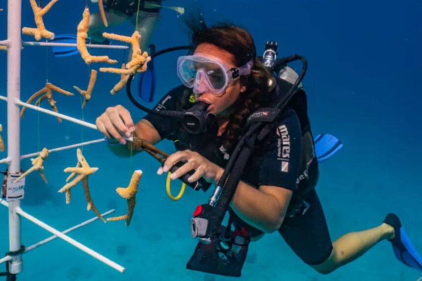 Mayan Princess Dive And Beach Resort Eco Program Mayan Princess participates in coral restoration with Bay Islands Reef Restoration.