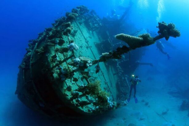 A diver exploring the coral-encrusted bow of a sunken wreck in the Red Sea