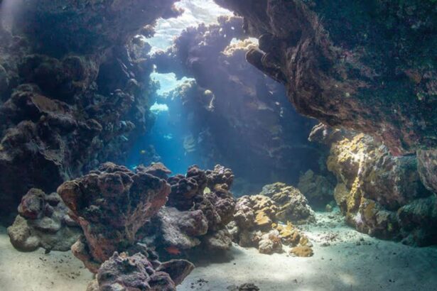 Sunlight streaming through an underwater cavern on a Red Sea reef