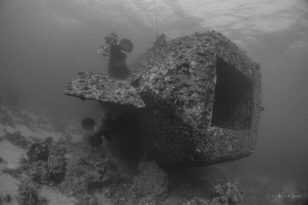 Black-and-white image of a diver exploring a coral-covered shipwreck
