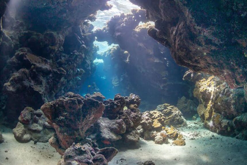 sunlit underwater cavern with coral formations