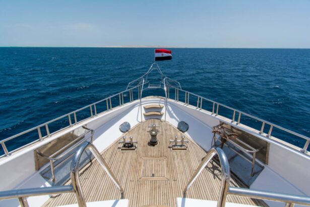 bow of the Golden Dolphin III cruising toward the horizon