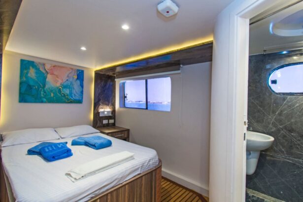cabin with a made-up bed and ensuite bathroom aboard the Golden Dolphin III