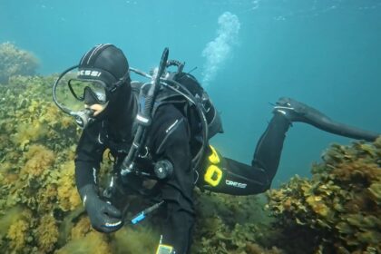 Our tester finning over a kelp-covered reef in the Cressi Desert drysuit