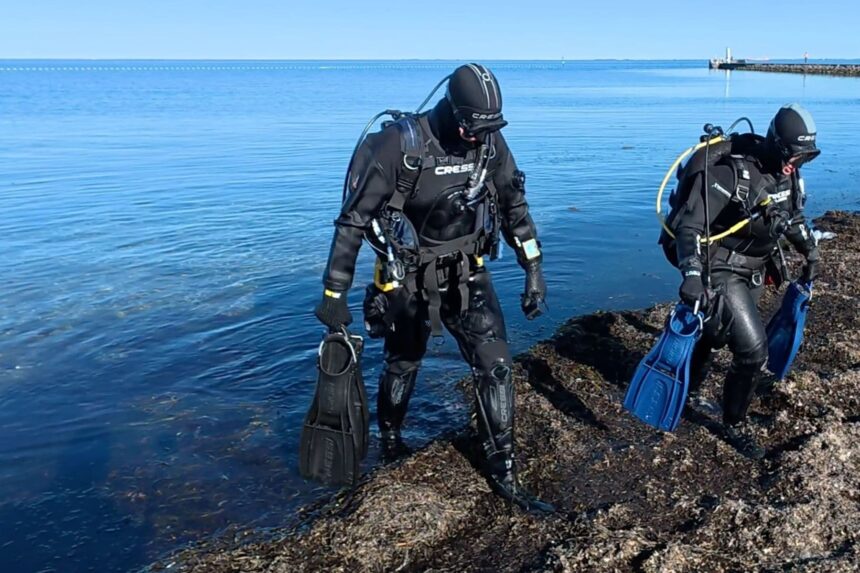 Two divers in Cressi Desert drysuits walking out of the sea over a rocky, seaweed covered shore