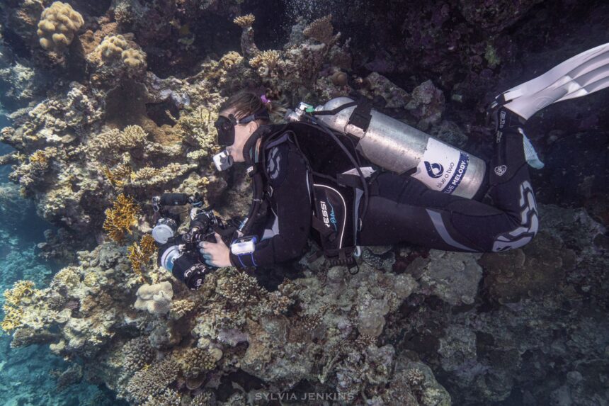 Cressi Elettra On The Reef DIVEIN tester photographing a coral reef with a camera rig while wearing the Cressi Elettra BCD