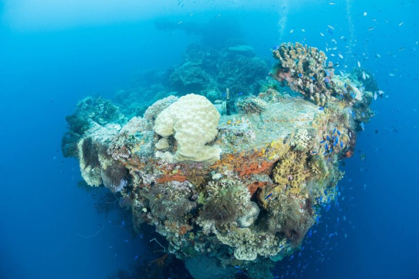 Worlds Top 10 Wreck Dives Truk Underwater since 1944, the Fujikawa Maru now sports a healthy covering of coral. (Image courtesy of Master Liveaboards and Matthew Meier)