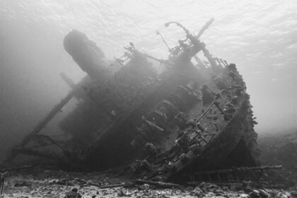 Black and white view of a shipwreck resting on its side on the seabed in Egypt's Red Sea