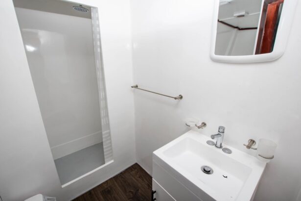 Compact ensuite bathroom with a walk-in shower, sink and mirror