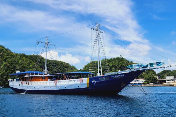 The Palau Siren under sail-rigged masts with buildings visible along the shoreline