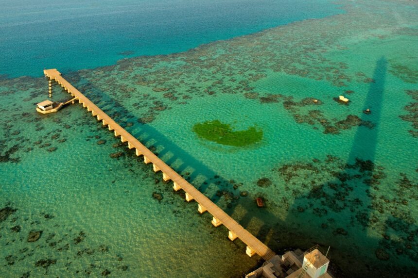 Where To Snorkel In Egypt Red Sea Reef And, unlike in many places where the best views require a boat trip, in Egypt you can often step right off the beach and into a kaleidoscope of marine life.