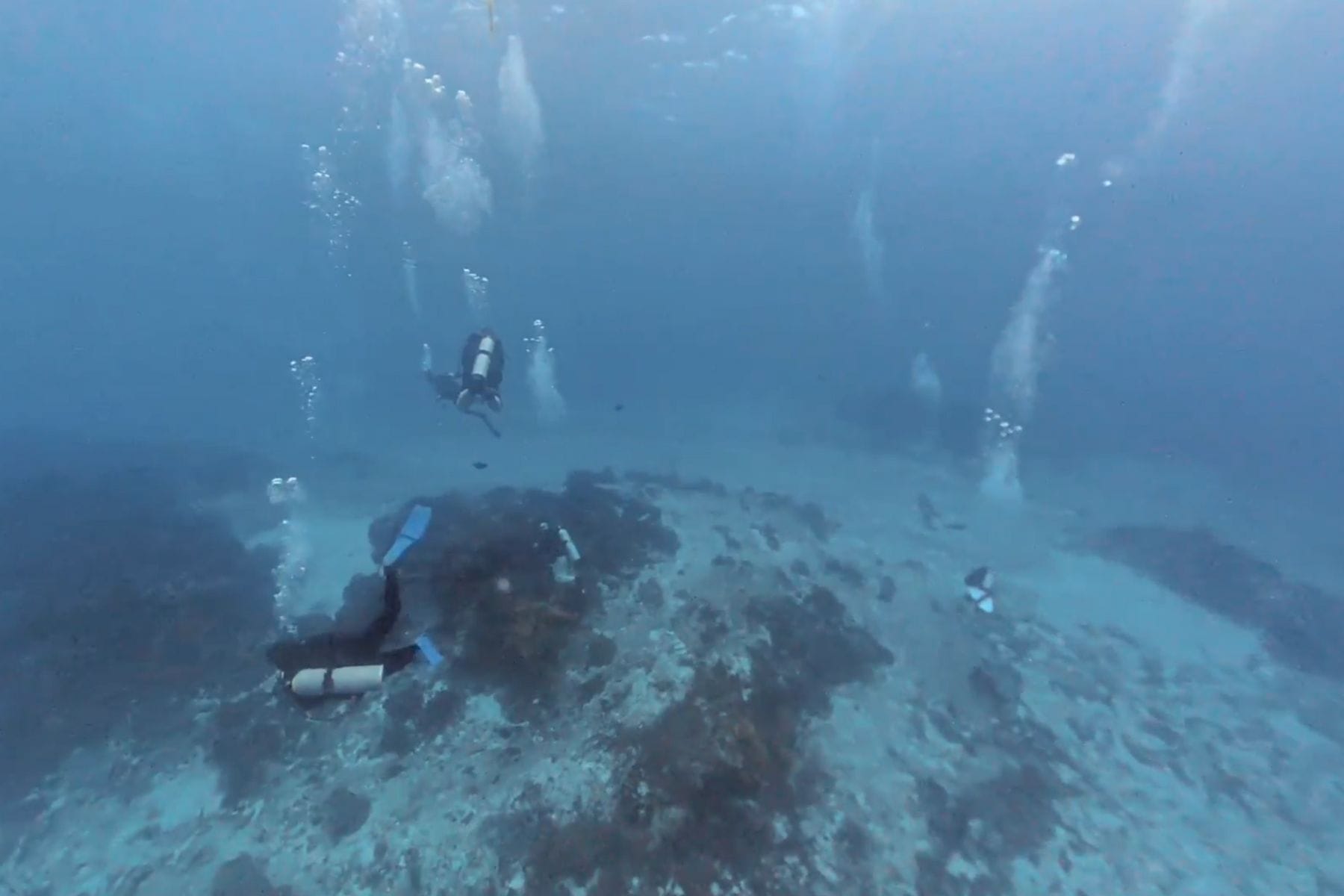 Several divers with rising bubble trails drift over a patch reef and sandy bottom in Cozumel