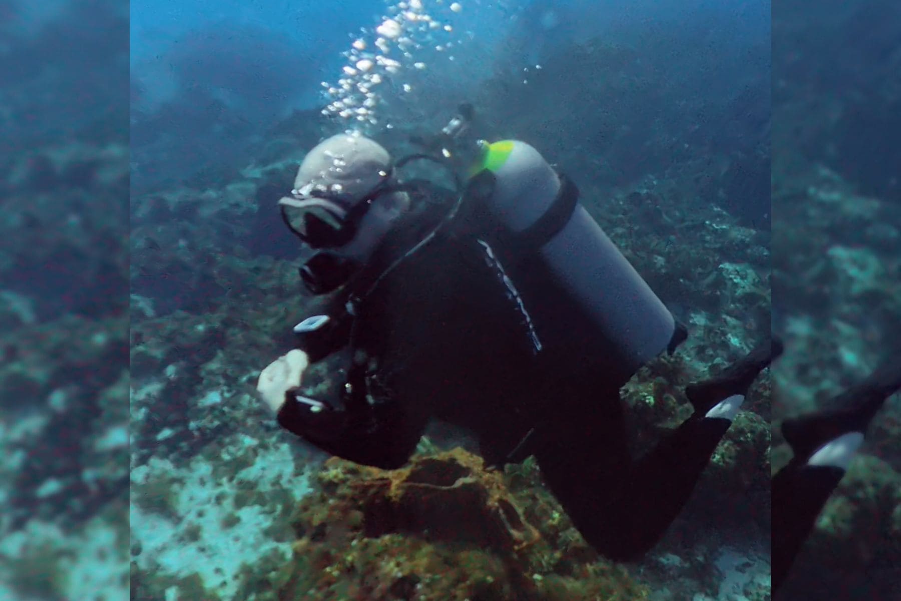 Diver exploring a coral-covered rock outcrop close to the reef bottom in Cozumel