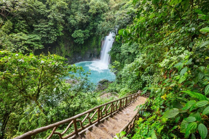Diving In Costa Rica Tropical Hike There is just as much adventure on land as there is underwater.