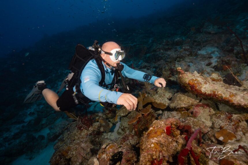 Halcyon Symbios Dive Computer Mount I’d love a factory strap option for quick adjustment: think low-profile ladder strap or a neoprene wrap you can cinch over anything from a bare wrist to drysuit forearm.