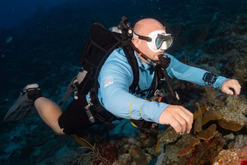 Halcyon Symbios Dive Computer Gears U.S. pricing at the time of writing: Handset (Silver) ~$1,200, Tank Pod ~$400, and a common bundle around $1,450 with the transmitter included at a discount.