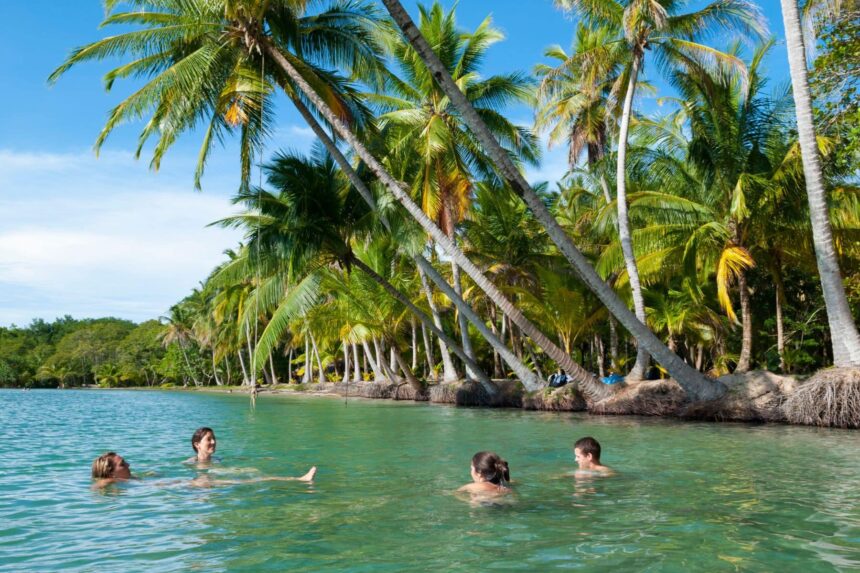 Diving In Central America Bocas Del Toro Bocas del Toro is a serene area of mangroves and quiet beaches.