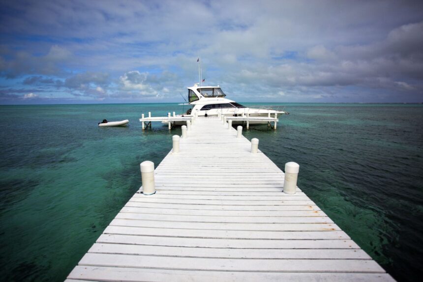 Diving In Central America Dock Diving In Central America Dock