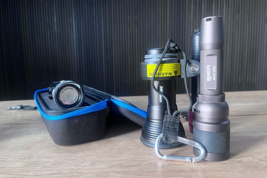 How To Choose A Dive Light Compact Light Compact lights are standard for most recreational divers.