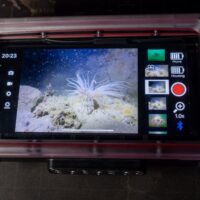 Close-up of the Oceanic+ housing touchscreen with a gallery thumbnail highlighted