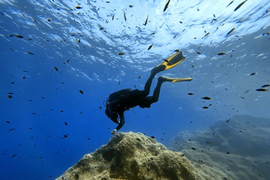 Warm Water Dive Above Rocky Reef Diver finning near the surface above a rocky reef in clear blue water surrounded by small fish