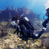 two divers explore a shallow shipwreck reef, one wearing an Oceanic-branded wetsuit and BCD