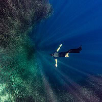 diver gliding past a dense school of baitfish beneath streaming sunbeams off the Philippines coast