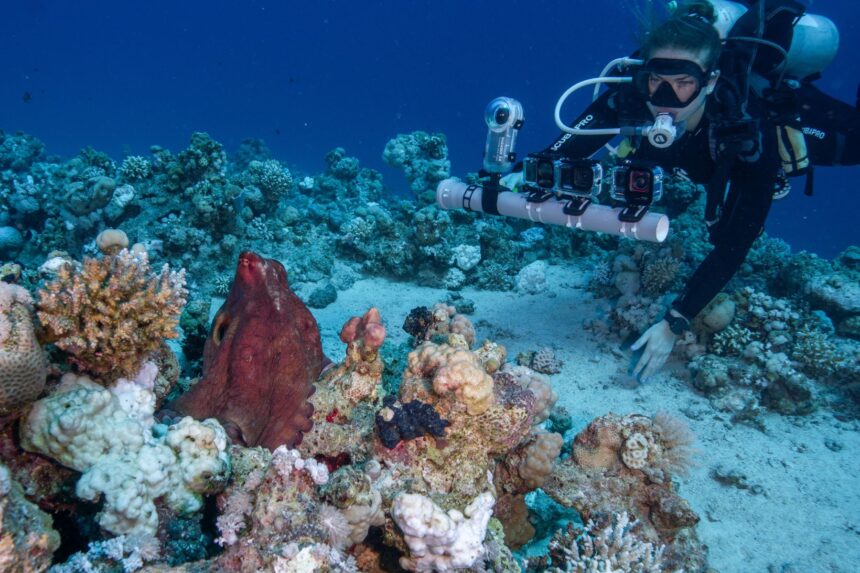 Multiple action cameras are still lighter and easier to carry than large cameras.