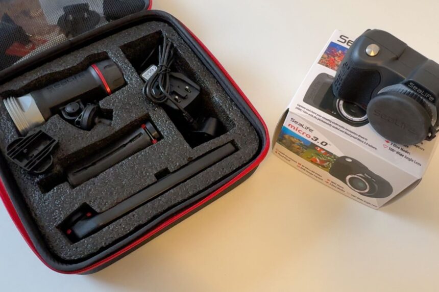 Many cameras come with their own carrying case.