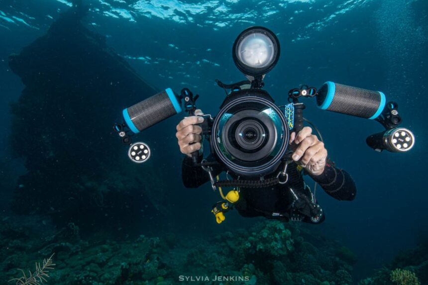 Many photographers use video lights for wider screens (the two on the side) along with a dedicated strobe for more versatility underwater (the one on the top).