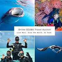 Collage promoting the Online SCUBA Travel Auction with a whale shark, coral reef diver, dive group and manta ray