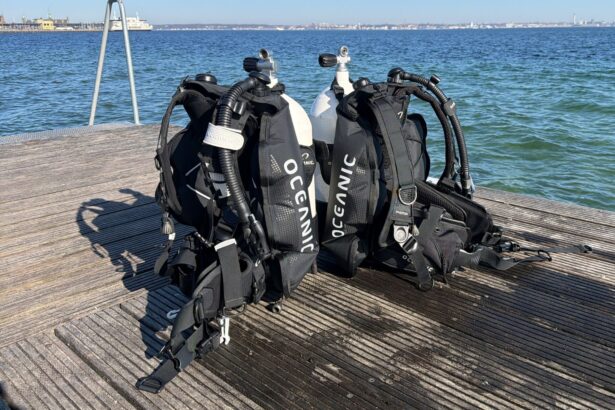 Two Oceanic Photon BCDs standing side by side on a sunny wooden dock beside the water