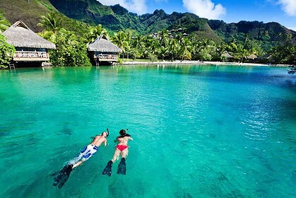 Snorkeler with a mask, snorkel and long yellow fins gliding just above a coral reef
