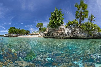 Split-level view of a shallow coral reef below a palm-lined Curacao beach and rocky shoreline