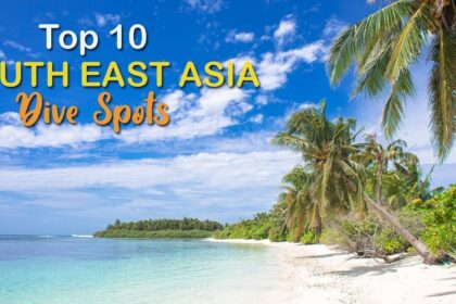 Palm trees leaning over a white sand beach and shallow turquoise water under text reading Top 10 South East Asia Dive Spots